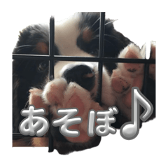 mayumi_20250402190240