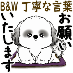 B&W Moving Shih tzu (polite language)