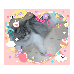 choco_20250402175351