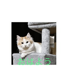 min_20250402200120