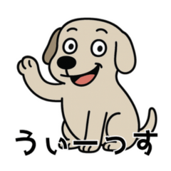 Weird Dog Reactions