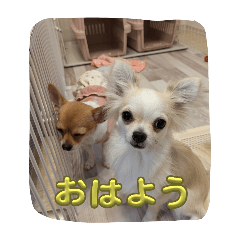 ABC_20250402203642