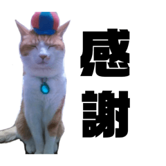nyan.k