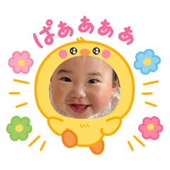 pon_20250403095849