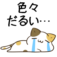moving unmotivated calico cat  greeting