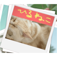 konatsu_20250403104503