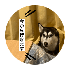 Air_20250403112102