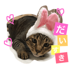 mayu29