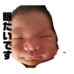 Taro_20250402213720
