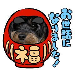 pei_20250403092815