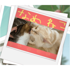 konatsu_20250403094011