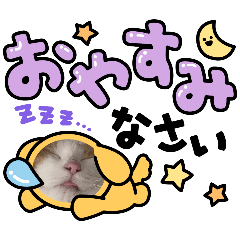 HANAKO_20250403001120