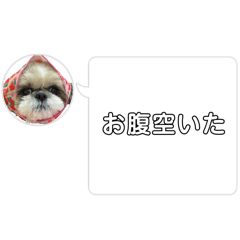 chikuwa_20250403002103