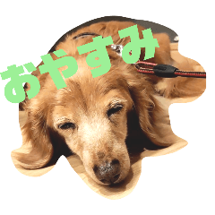 sakurai.maron