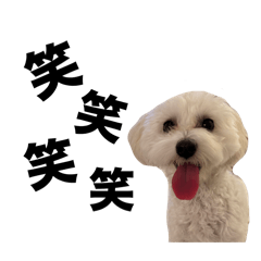 on_20250401162945