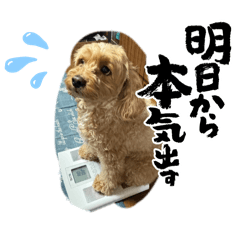 urukundayo