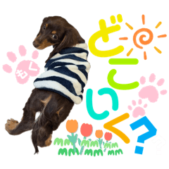 Annie_20250403031036