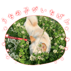 Natsu_20250403074825