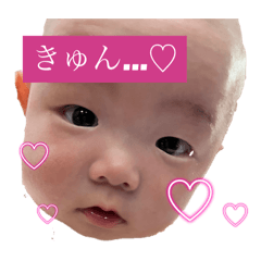 kaho_20250403081155