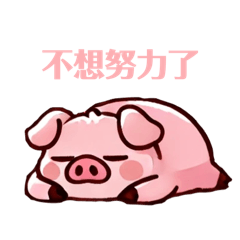 爆爆豬