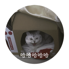 褲小褲