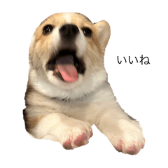 non_20250402234103