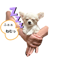 Ousuke_20250403121407