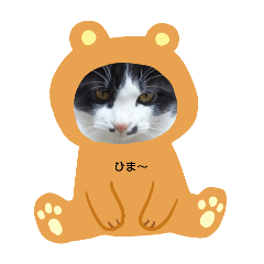 ARISA_20250403120942