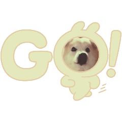 kinako_20250403121148