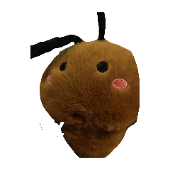 NAMPAN_20250402181529