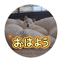 Natsu_20250403061634