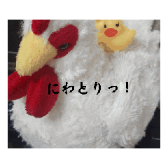 chicken_20250402113945