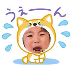 aoi_20250403091940