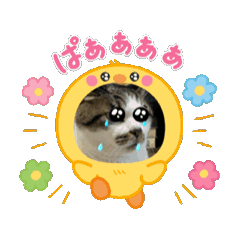yuki_20250403104710