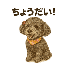 Nao_20250401222632