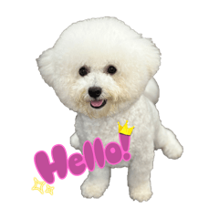 Popcorn 實用小貼圖～