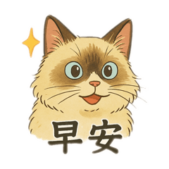 Hattie little kitty 1
