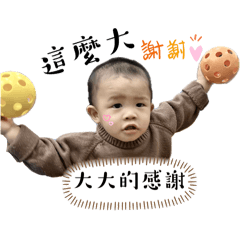 晨董不懂3
