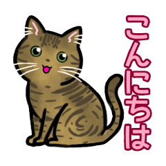 mugi_20250402095257