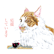 kimichan_20250402114149