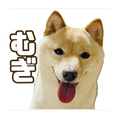 saya_20250402132618