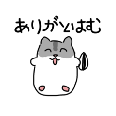 ham_20250402175813