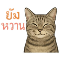 Cute_20250402221023