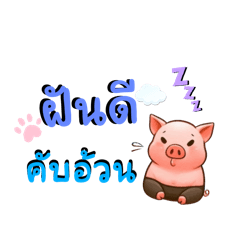 น้องจูจูหมูอ้วน