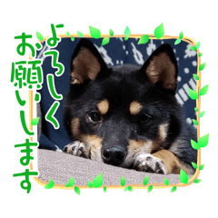 Hitomi_20250403141846