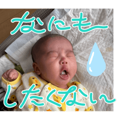 miki_20250403163641