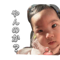 misa_20250403182915