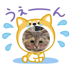 Koko_20250403164402