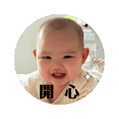 楊家四寶