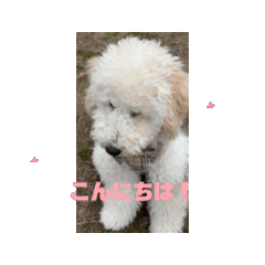 misa_20250403152126